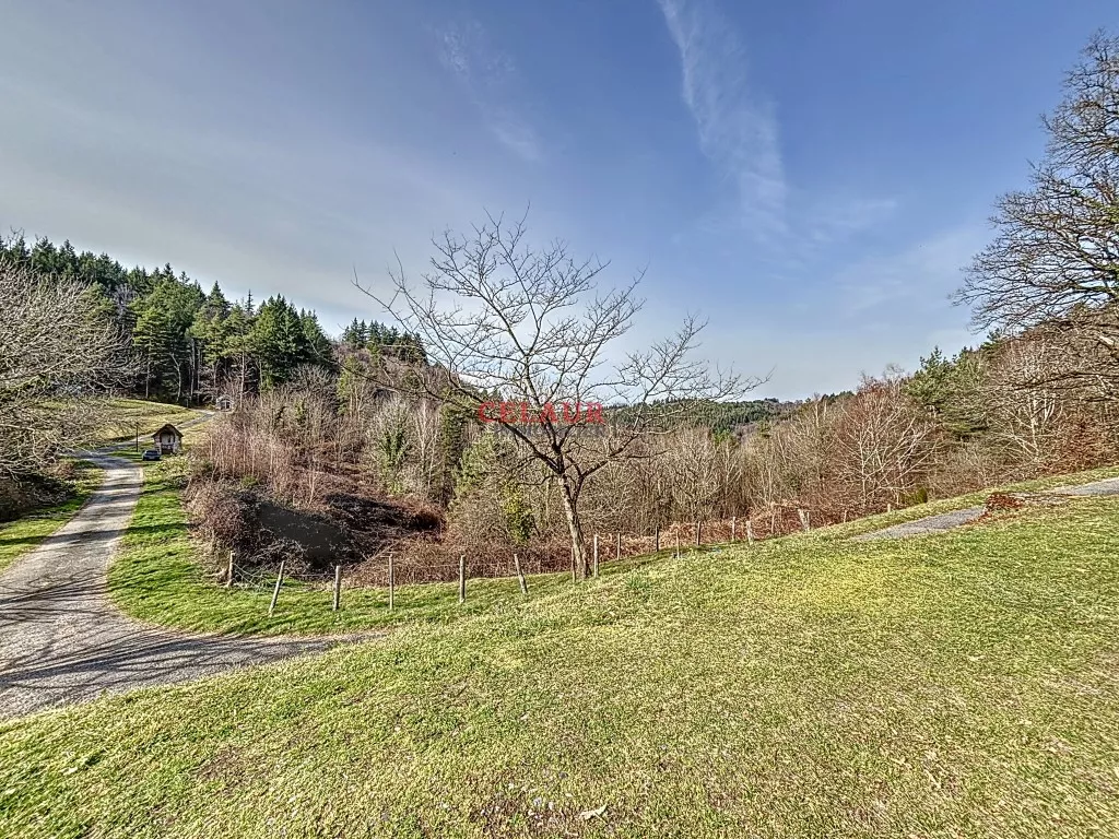 Un Joli "Cottage" et au calme...