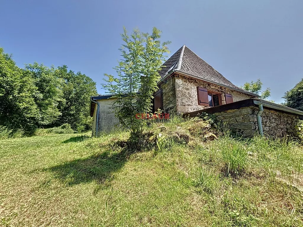 Maison pierre avec dépendance et terrain