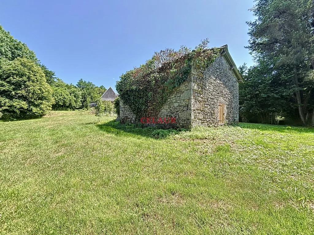 Maison pierre avec dépendance et terrain