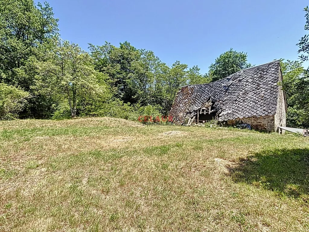 Maison pierre avec dépendance et terrain