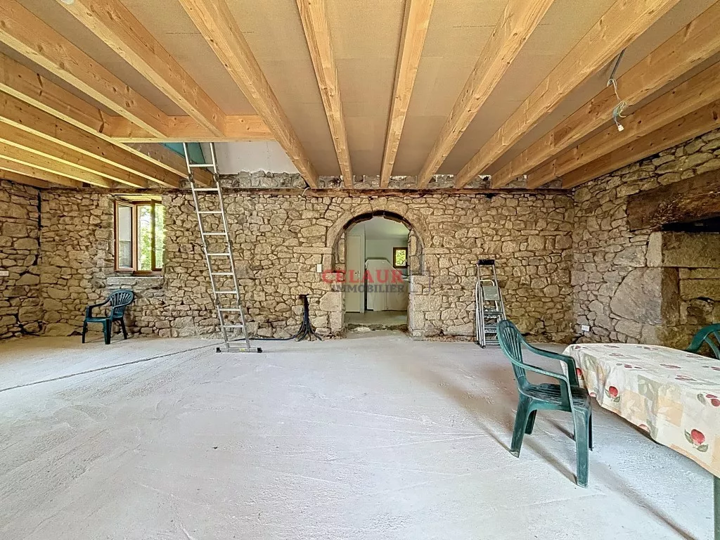 Maison pierre avec dépendance et terrain