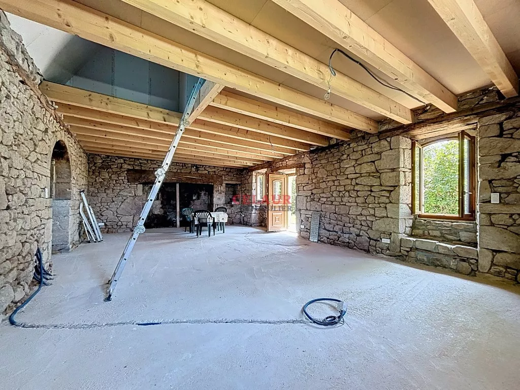 Maison pierre avec dépendance et terrain