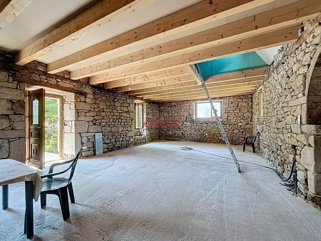 Maison pierre avec dépendance et terrain