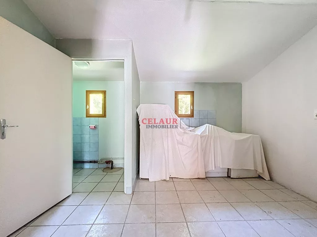 Maison pierre avec dépendance et terrain