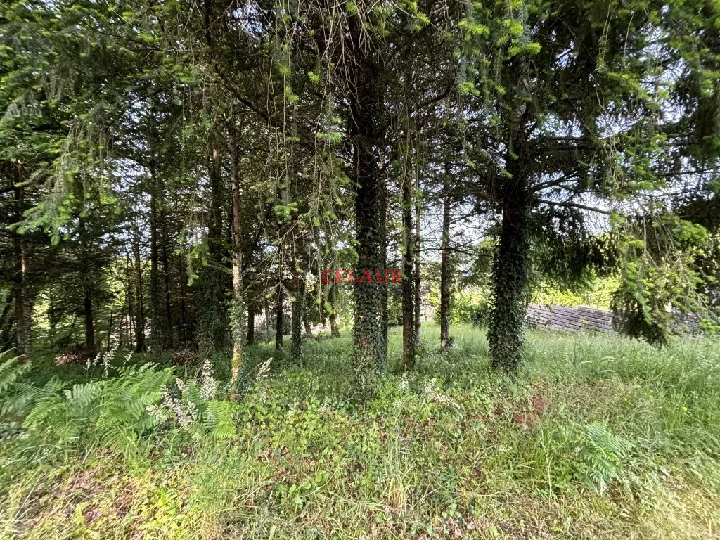 TERRAIN À BÂTIR SUR LES HAUTEURS D'ARGENTAT