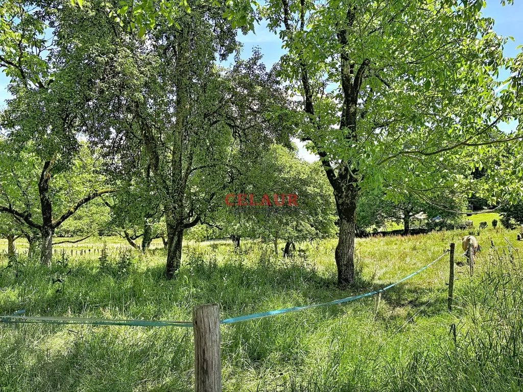 PROPRIETE EN PIERRE AVEC GRANGE A RESTAURER